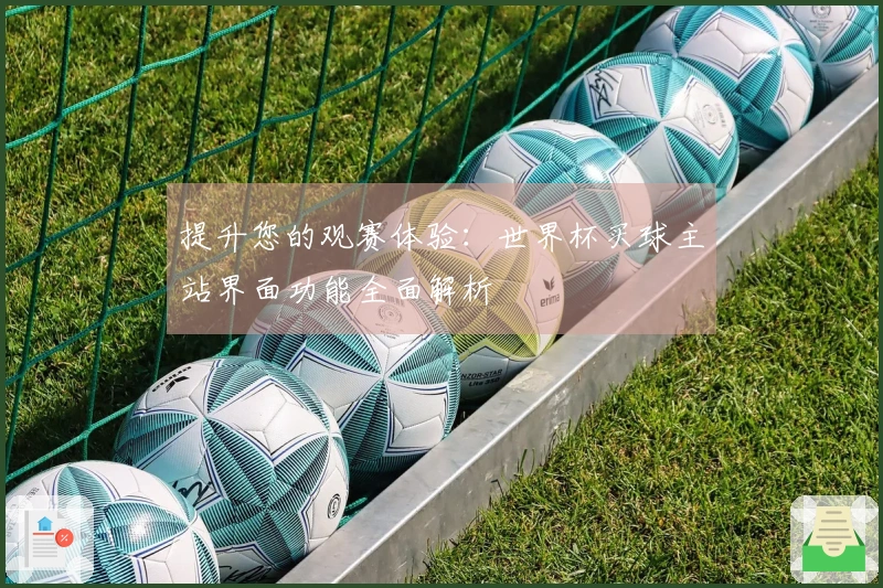 提升您的观赛体验：世界杯买球主站界面功能全面解析