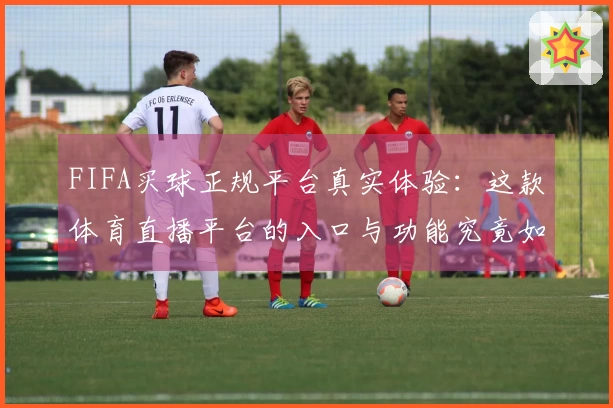 FIFA买球正规平台真实体验：这款体育直播平台的入口与功能究竟如何