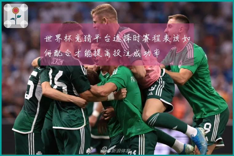 世界杯竞猜平台选择时赛程表该如何配合才能提高投注成功率