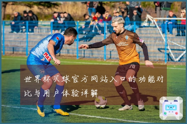 世界杯买球官方网站入口的功能对比与用户体验详解