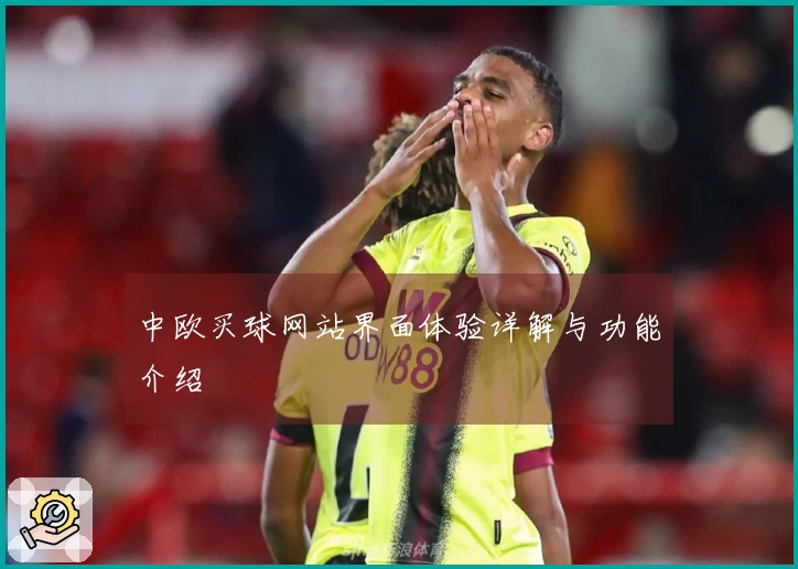 中欧买球网站界面体验详解与功能介绍
