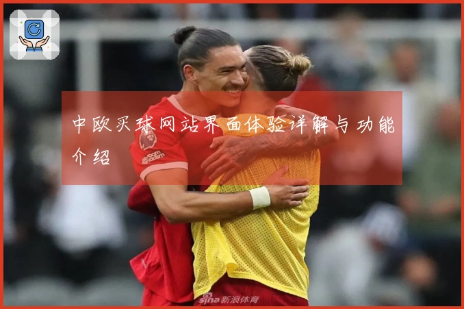 中欧买球网站界面体验详解与功能介绍