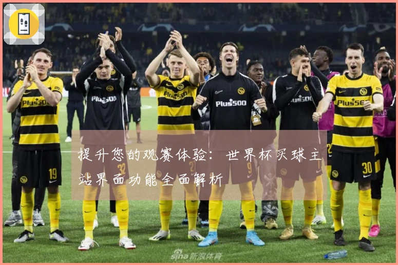 提升您的观赛体验：世界杯买球主站界面功能全面解析